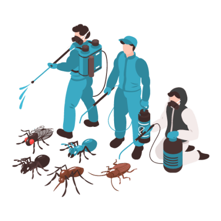 Pest Control Service App Ibiixo