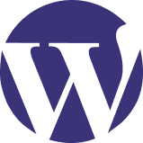 WordPress Tech2 Ibiixo wordpress-tech2-ibiixo