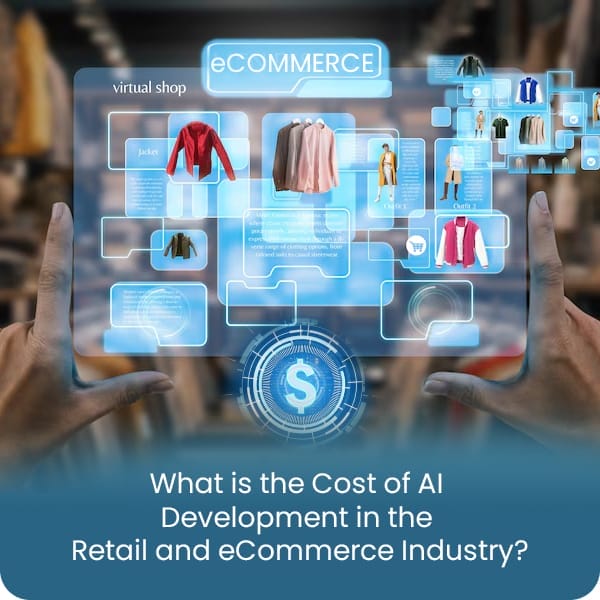 costs-of-AI-artificial-intelligence-in-ecommerce-ibiixo