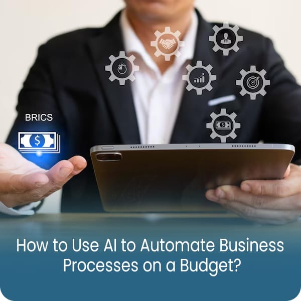 affordable-ai-development-ai-business-automation-ibiixo